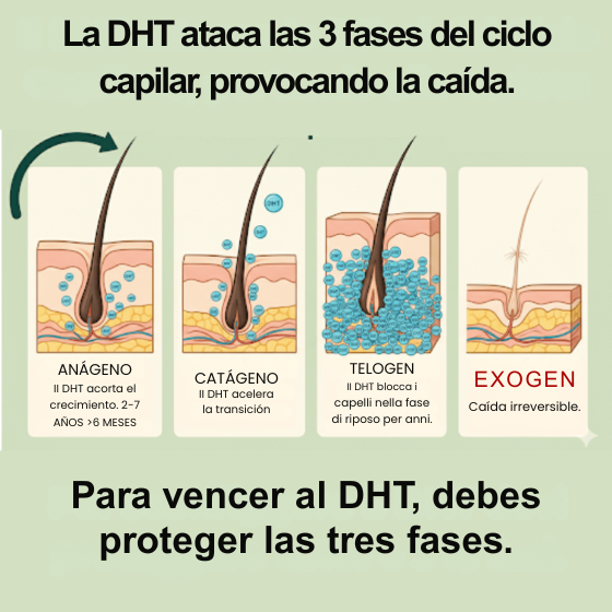 Detén la caída y recupera tu melena de hace 10 años con Trico Rosmarinus