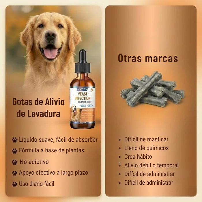 Alivio natural para reducir y controlar infecciones por hongos en la piel o el organismo del perro