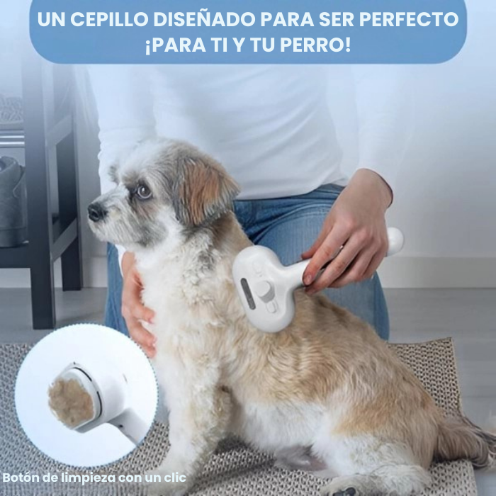 Cepillo de vapor recargable para mascotas con muda de pelo | GROOMSY
