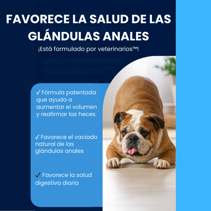 Glandex® Suplemento para la salud de las glándulas anales