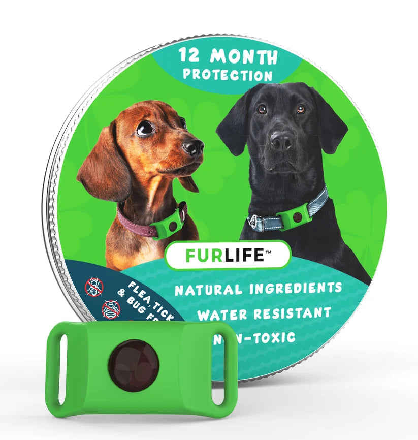 FurLife™ 12 meses libre de pulgas y garrapatas Collar completo + 2 cápsulas