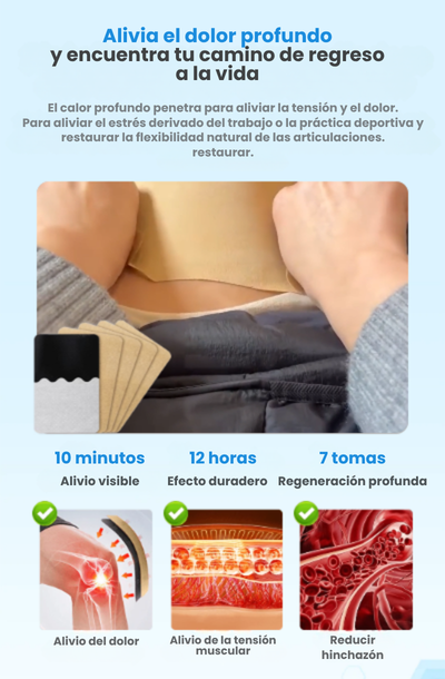 PAGA 5 LLEVA 10 Parches de jengibre alivio natural del dolor articular y muscular