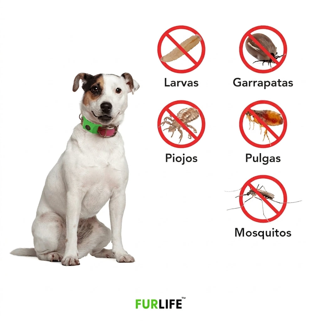 FurLife™ 12 meses libre de pulgas y garrapatas Collar completo + 2 cápsulas