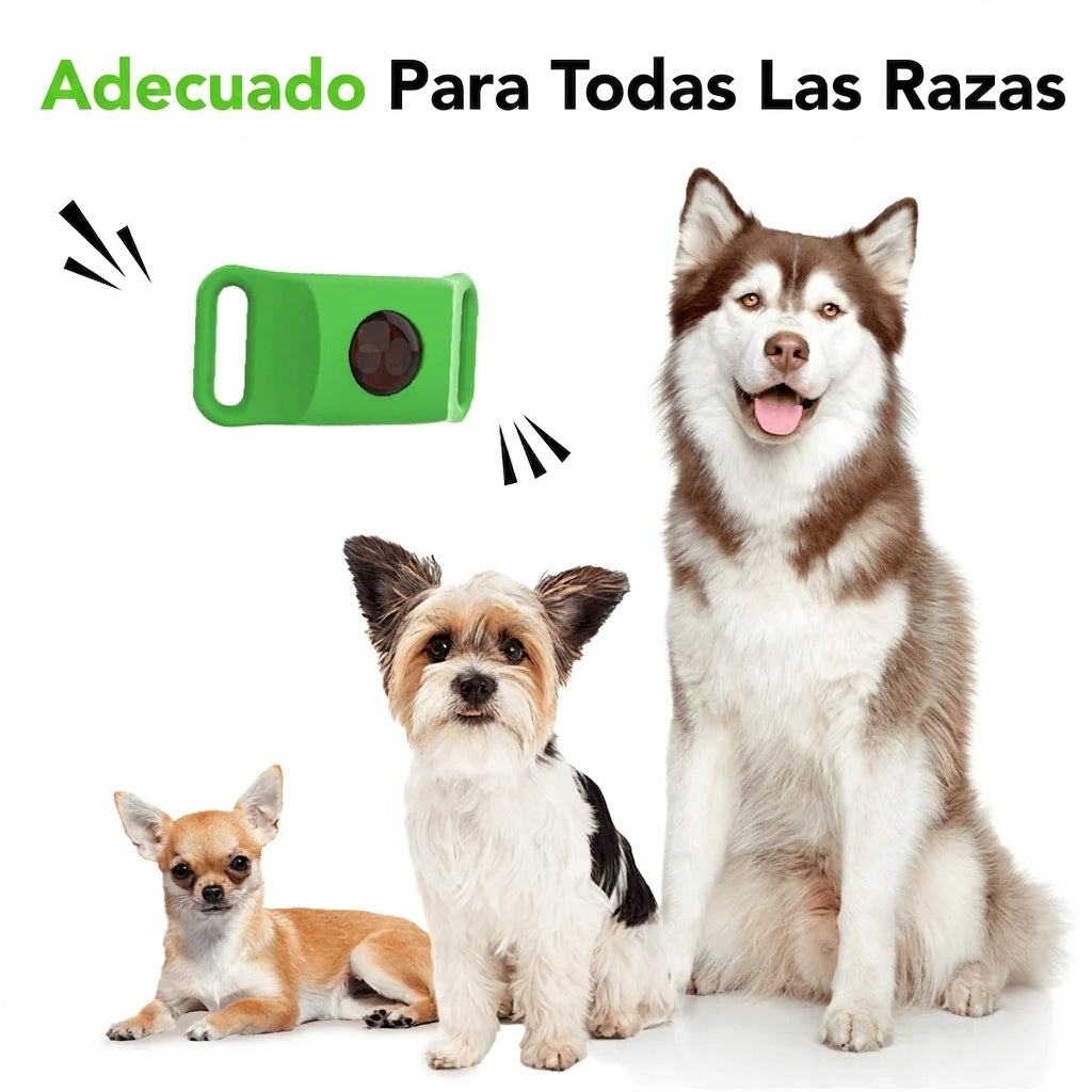 FurLife™ 12 meses libre de pulgas y garrapatas Collar completo + 2 cápsulas
