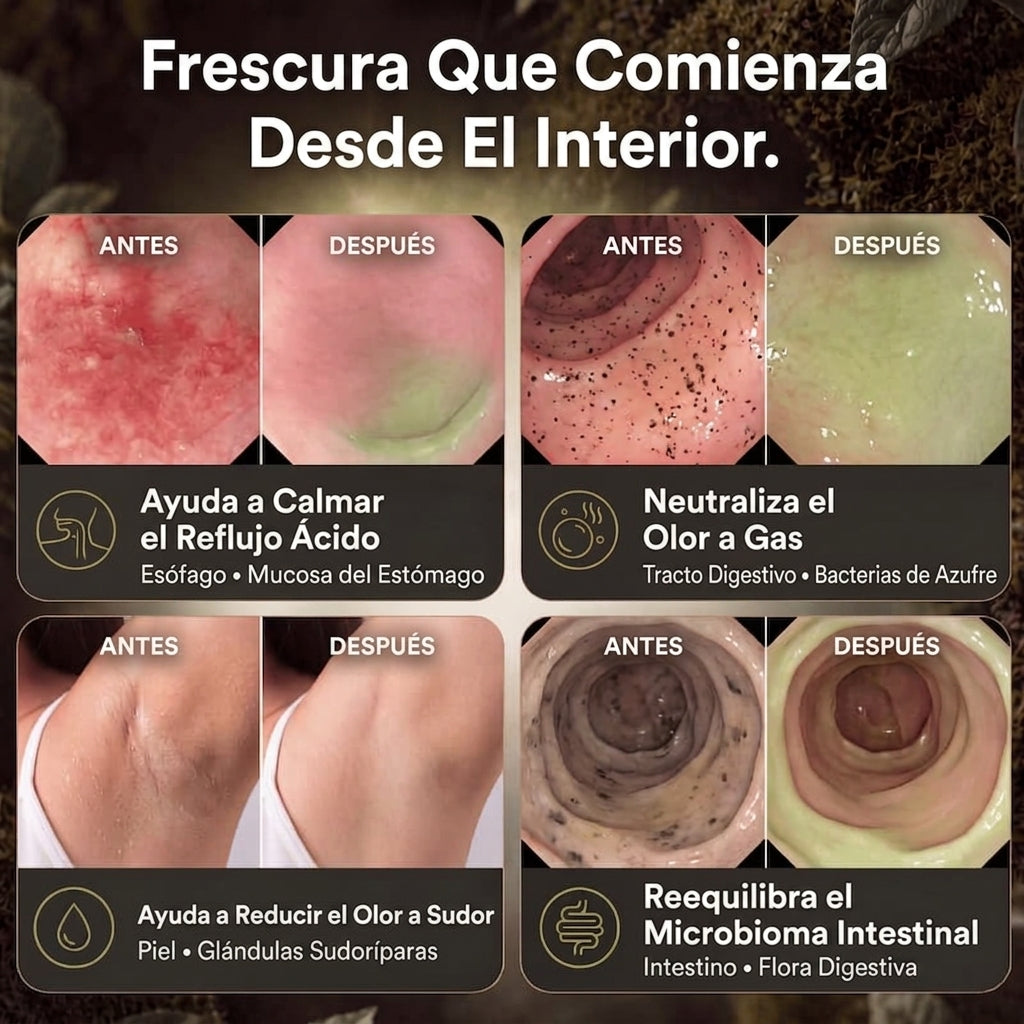 Cápsulas anti-mal aliento y para el reflujo de LYVELI