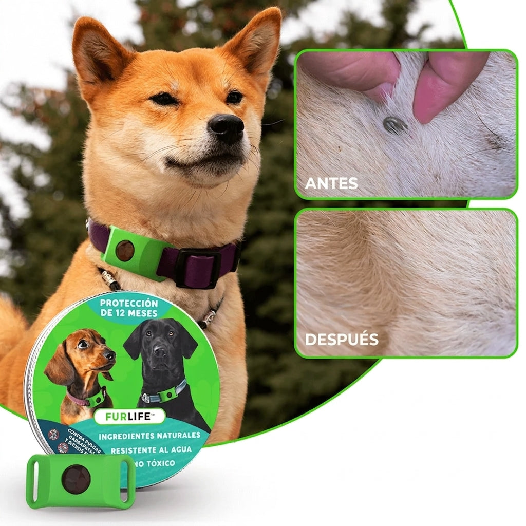 FurLife™ 12 meses libre de pulgas y garrapatas Collar completo + 2 cápsulas