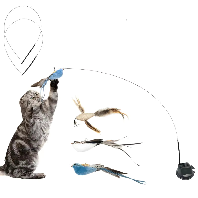 Juguetes interactivos de simulación de pájaro para gatos