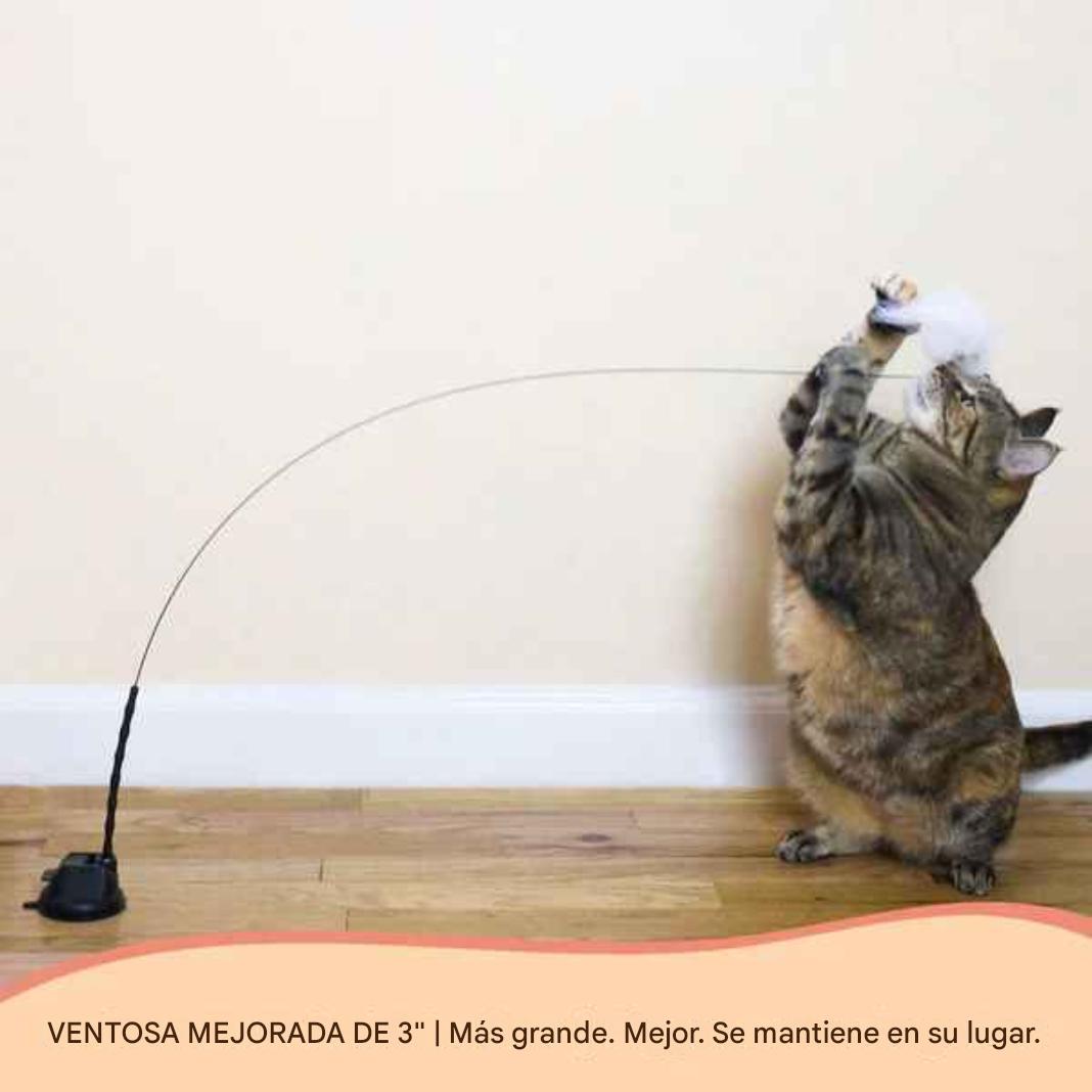 Juguetes interactivos de simulación de pájaro para gatos