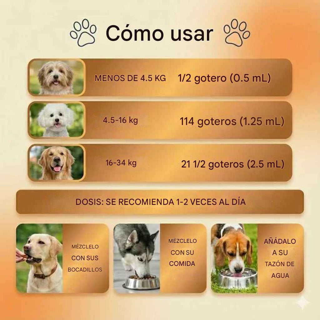 Alivio natural para reducir y controlar infecciones por hongos en la piel o el organismo del perro