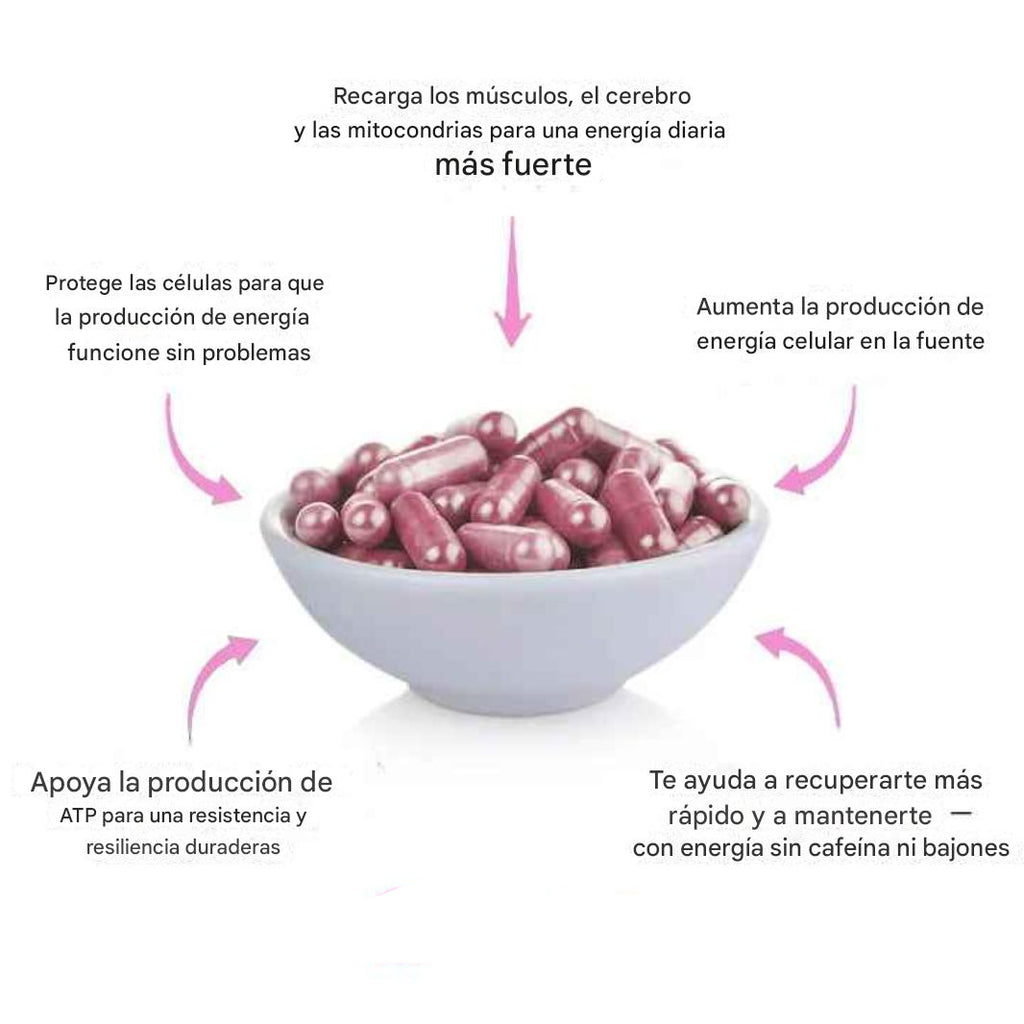 Cápsulas de remolacha Rosabella para favorecer la circulación y la vitalidad