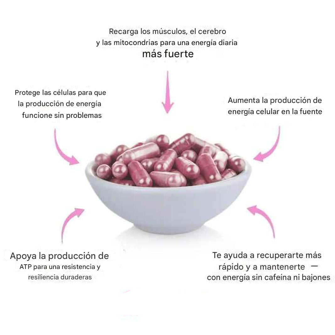 Cápsulas de remolacha Rosabella para favorecer la circulación y la vitalidad